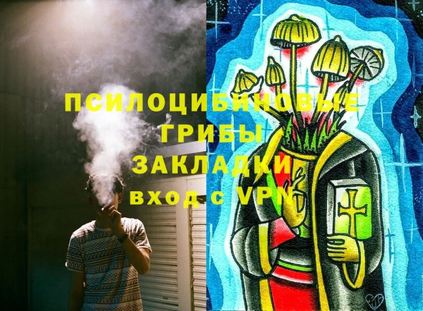 МДМА Бородино